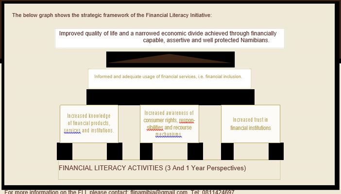 THE FINANCIAL LITERACY INITIATIVE