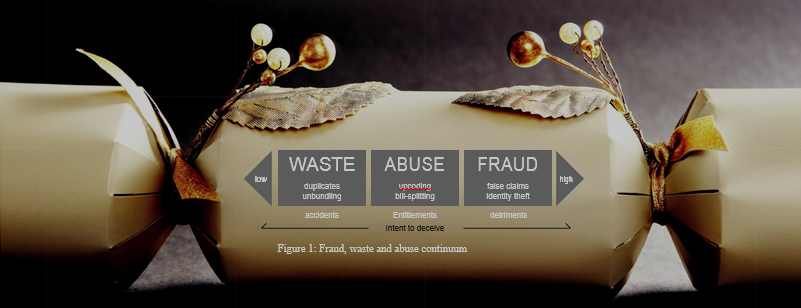 HEALTHCARE FRAUD,  ABUSE AND WASTE